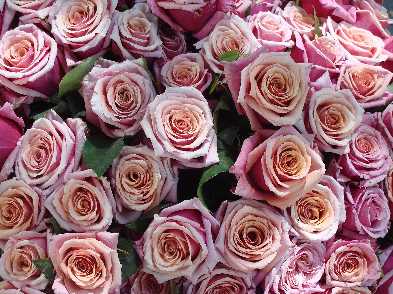 Seasonal Rose Bouquet